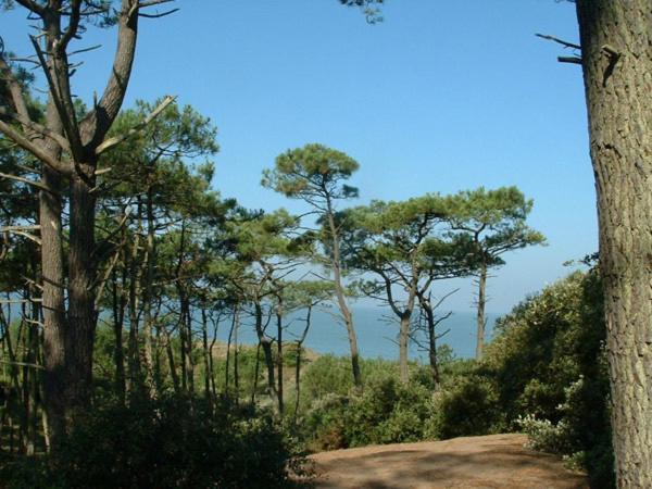 Cottages du Valcoquet Saint-Brévin-les-Pins Esterno foto